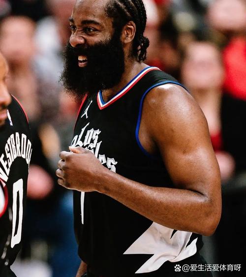 前布局的观 前布局的观